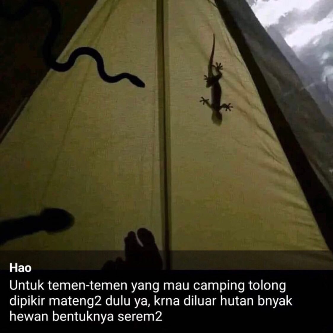 sosmed keras tweet media