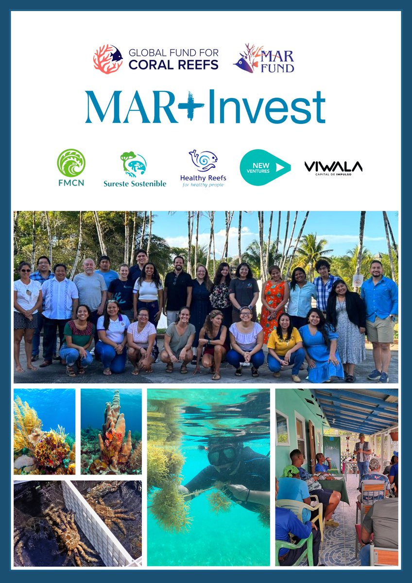 The #GFCR-supported MAR+Invest aims to scale enterprises that contribute to #MesoamericanReef resilience. 🔵 2030 Targets: 🪸 $45 million USD mobilised 🪸 60K HA coral reefs under improved management 🪸 3M community members w/ increased resilience ➡️ bit.ly/GFCRMAR