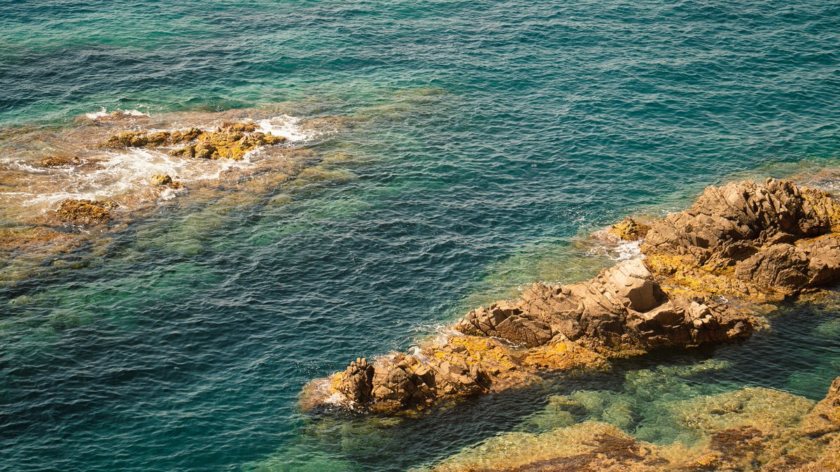 Un mar blau que enamora… 💙 Un mar azul que enamora... 💙 A blue sea that enchants... 💙 Une mer bleue qui enchante... 💙 📸 IG _bokoster #blanes #blanesarrandemar #arrandemar #blanescostabrava #blanesturisme