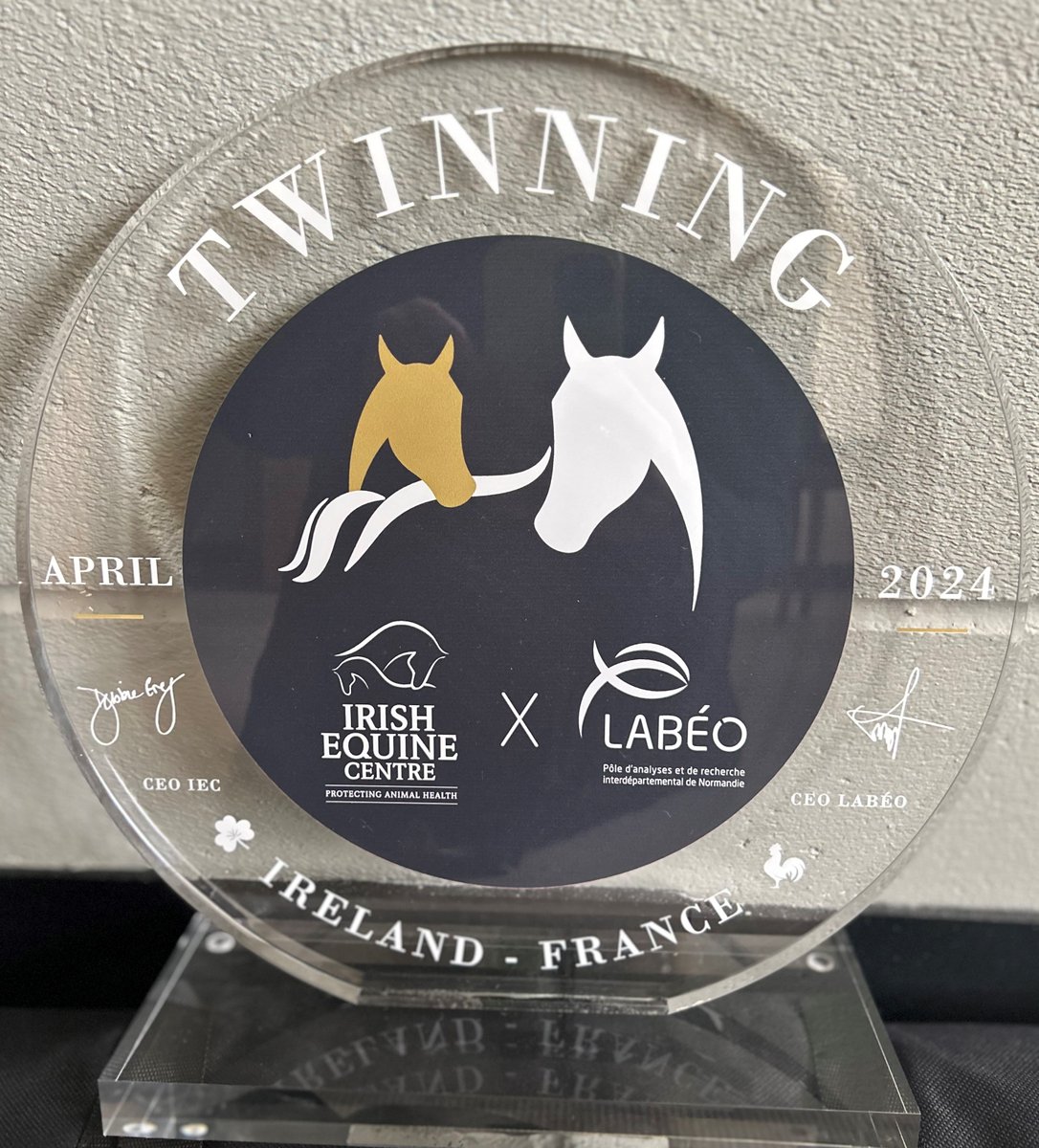 IrelandEquine's tweet photo. A lovely reminder in our office of our joint commimtent with @LABÉO
#twinning #twinningiswinning #LABÉO #vetlab #veterinarylaboratory https://t.co/Tfv4THse9V