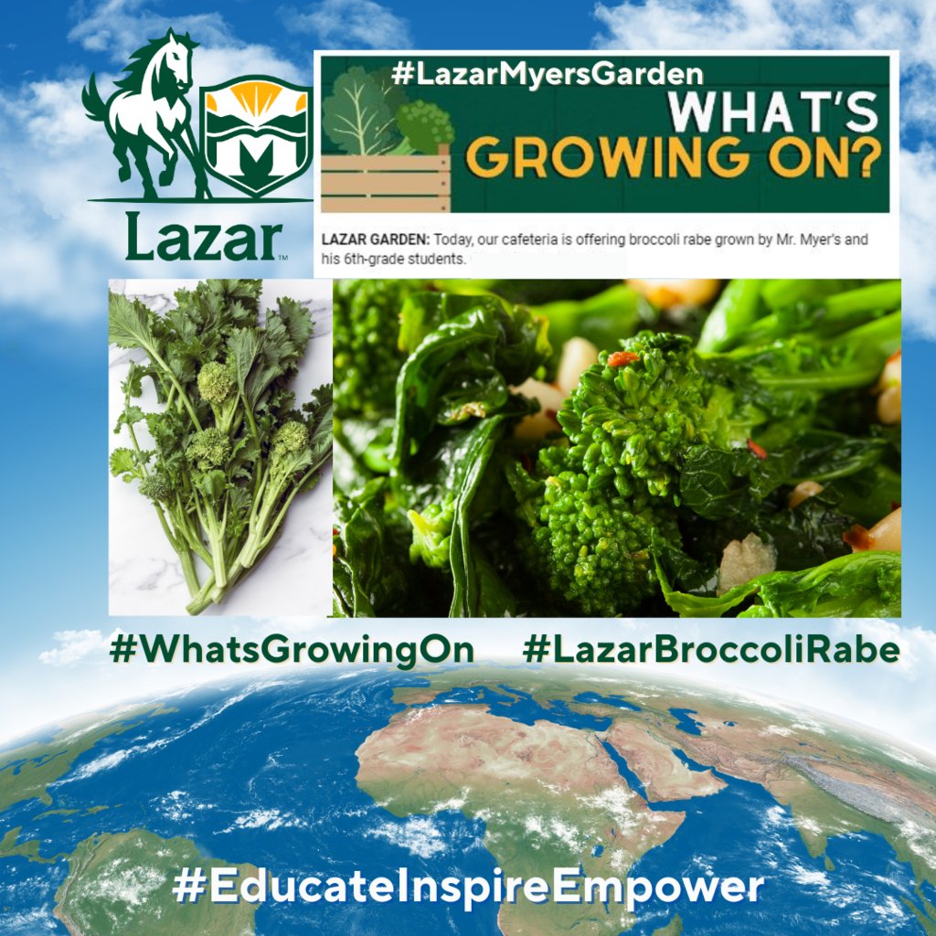 Fresh Veggies! #WhatsGrowingOn? #LazarBroccoliRabe was harvested this week! Mr. Myers' 6th Grade science students planted the #LazarMyersGarden and #Lazar students & staff can taste the fresh veggies at lunch! #EducateInspireEmpower #LazarEarthDay2024! #STEAM!