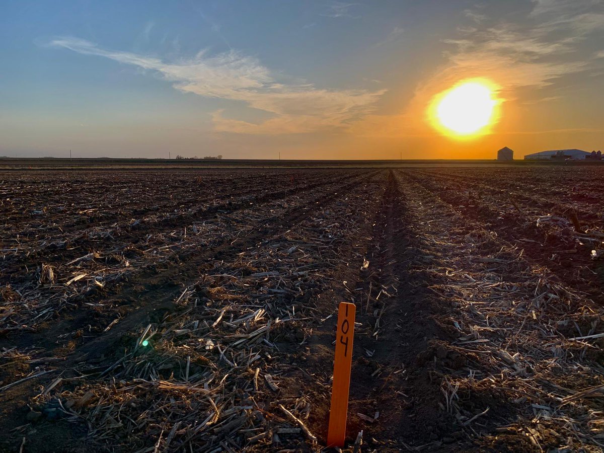 Our team kicked off the 2024 growing season late last week by staking and planting a new research trial. Ready to explore new technologies in agriculture. Here's to a fruitful season ahead! 🚜 #AgResearch