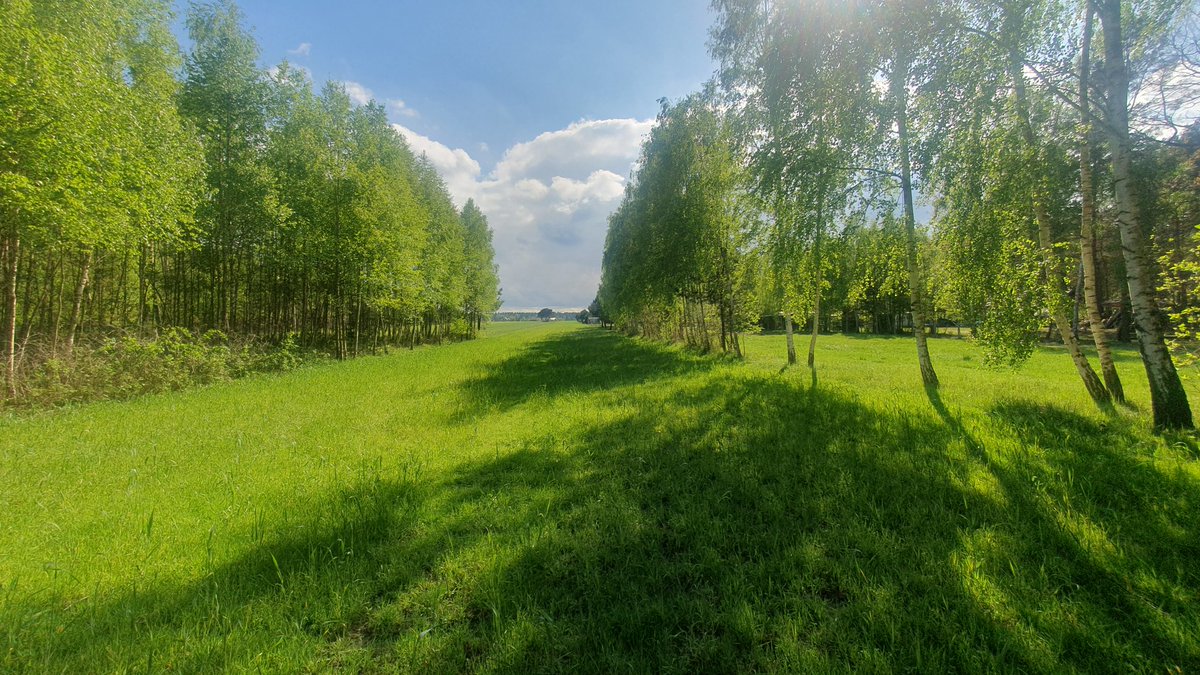lucekteam's tweet photo. Nad zalewem pięknie dzisiaj,
Chłodno, ale wiosennej ☀️⛅,
Ale zapraszamy #ZalewSulejowski,
Wieś #Karolinow #Tresta 💚💚. https://t.co/HESK83gBdx