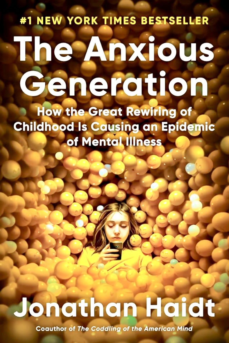 #ThrowbackThursdays 
my 2013 book Lightweb Darkweb raised concerns about social media and kids. now @JonHaidt offers compelling research on why parents must protect children from too much, too soon, too fast. #LightwebDarkweb #TheAnxiousGeneration #ChildHonouring @RaffiFoundation