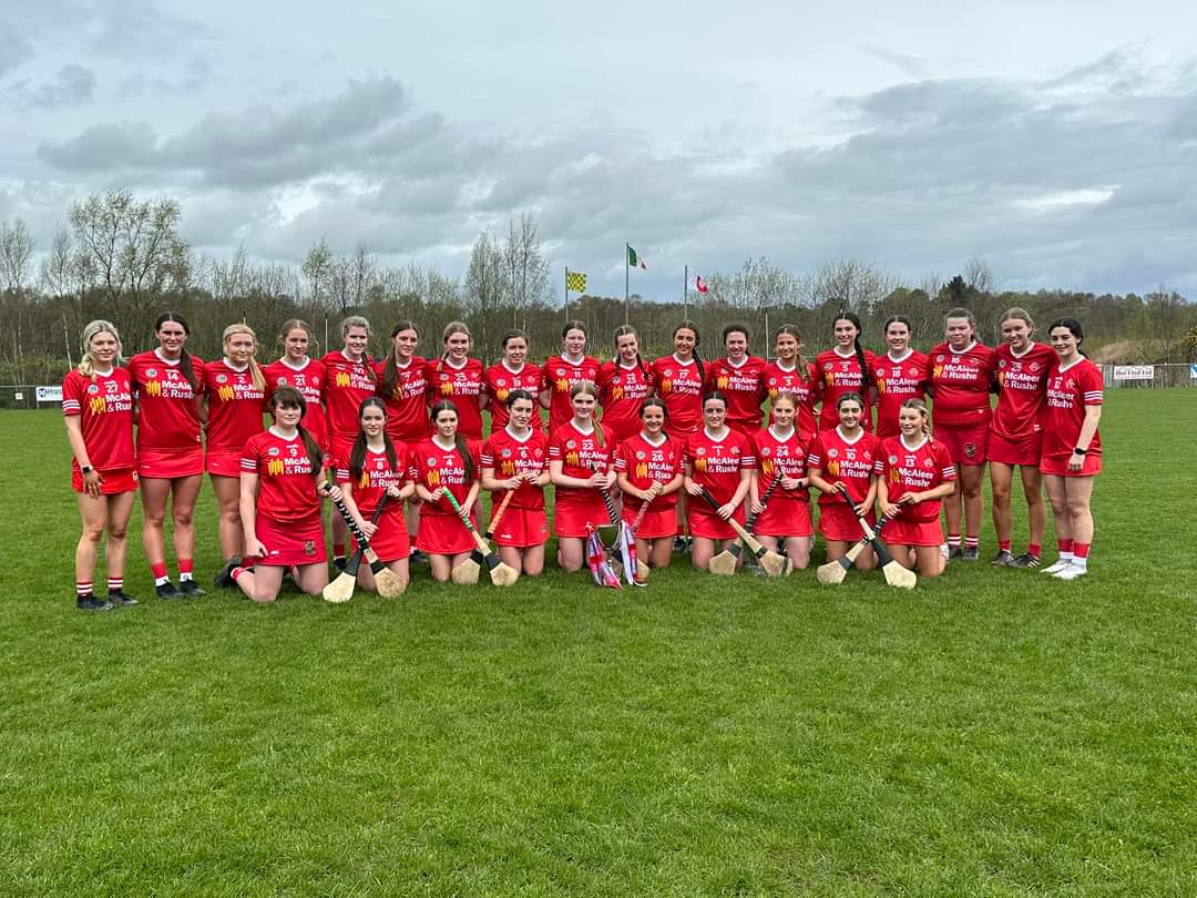 Tyrone camogs one step away from place in Electric Ireland All-Ireland Minor 'C' final berth - gaeliclife.com/counties/tyron…