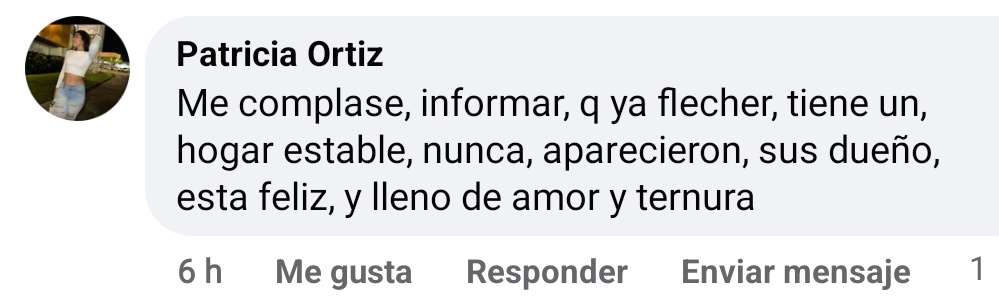 AlertaMePerdi's tweet photo. Nos complace informar que fue adoptado, ahora se llamara #FLECHER, gracias a tod@s por compartir la información. https://t.co/rHNRGcject
