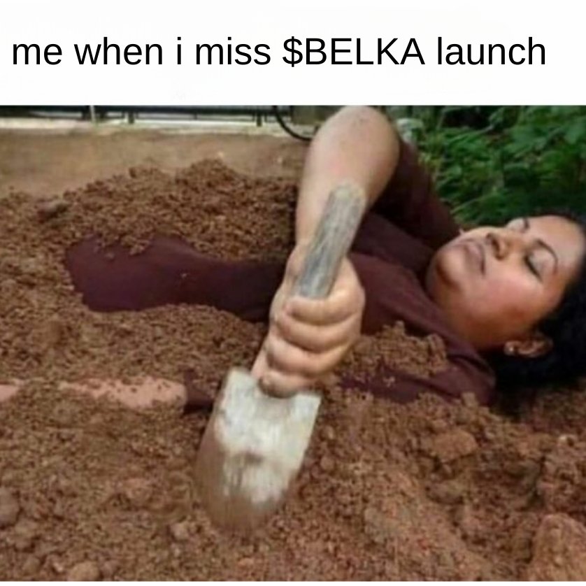 belkacoin's tweet photo. #Belka $BELKA https://t.co/KTDpKmwPOp