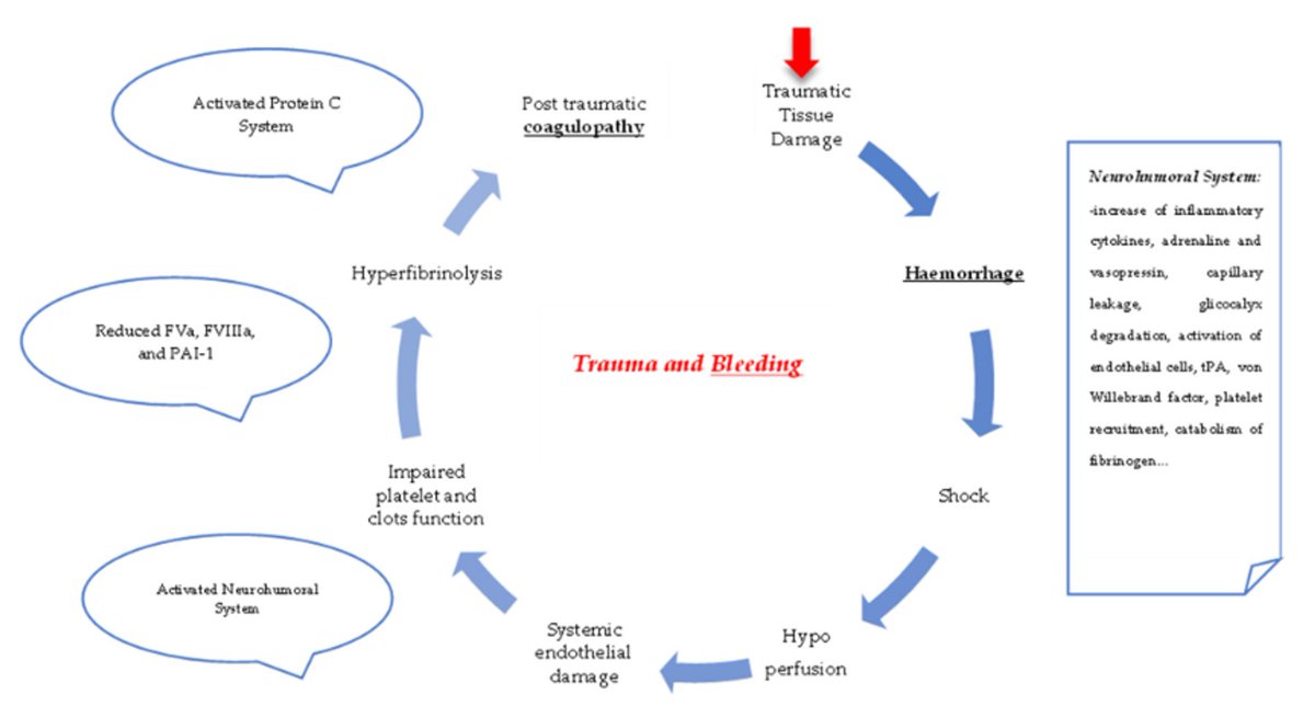 Blood Transfusion for Major Trauma in Emergency Department CCR Journal Watch criticalcarereviews.com/latest-evidenc… Get the latest critical care literature every weekend via the CCR Newsletter - subscribe at criticalcarereviews.com/newsletters/su…