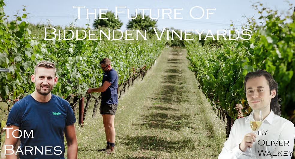 The Future Of Biddenden Vineyards – Interview With Tom Barnes @BiddendenVine glassofbubbly.com/the-future-of-…