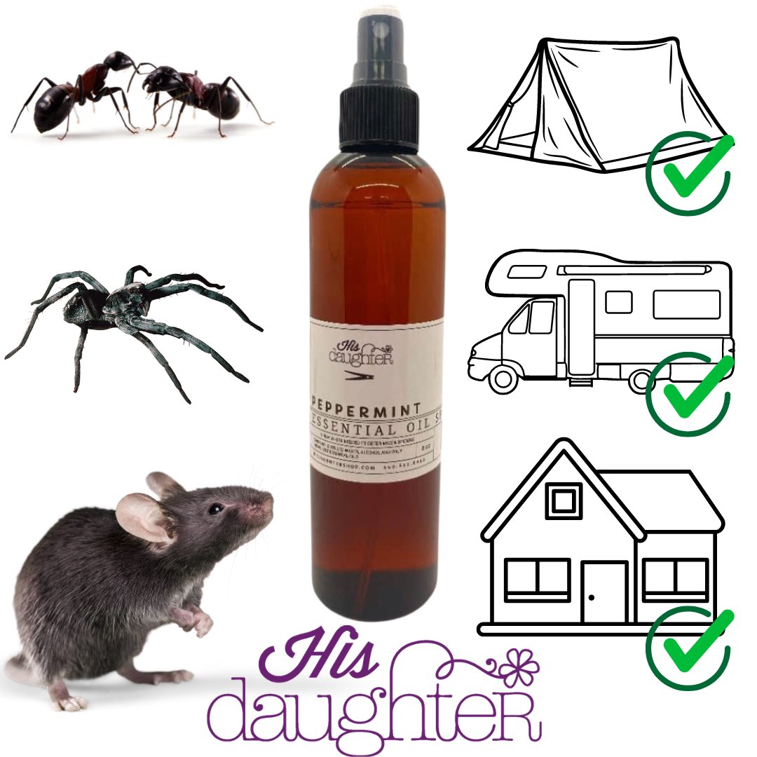 Our Peppermint Essential Oil Spray is made with natural ingredients that are eco-friendly and safe to use around you and your family!

#hisdaughtershop #middlefieldOH #Geauga #geaugacounty #Ohio #shoplocal #ShopSmall #EarthDay #earthdayeveryday #savetheplanet #ants #mice #bugs