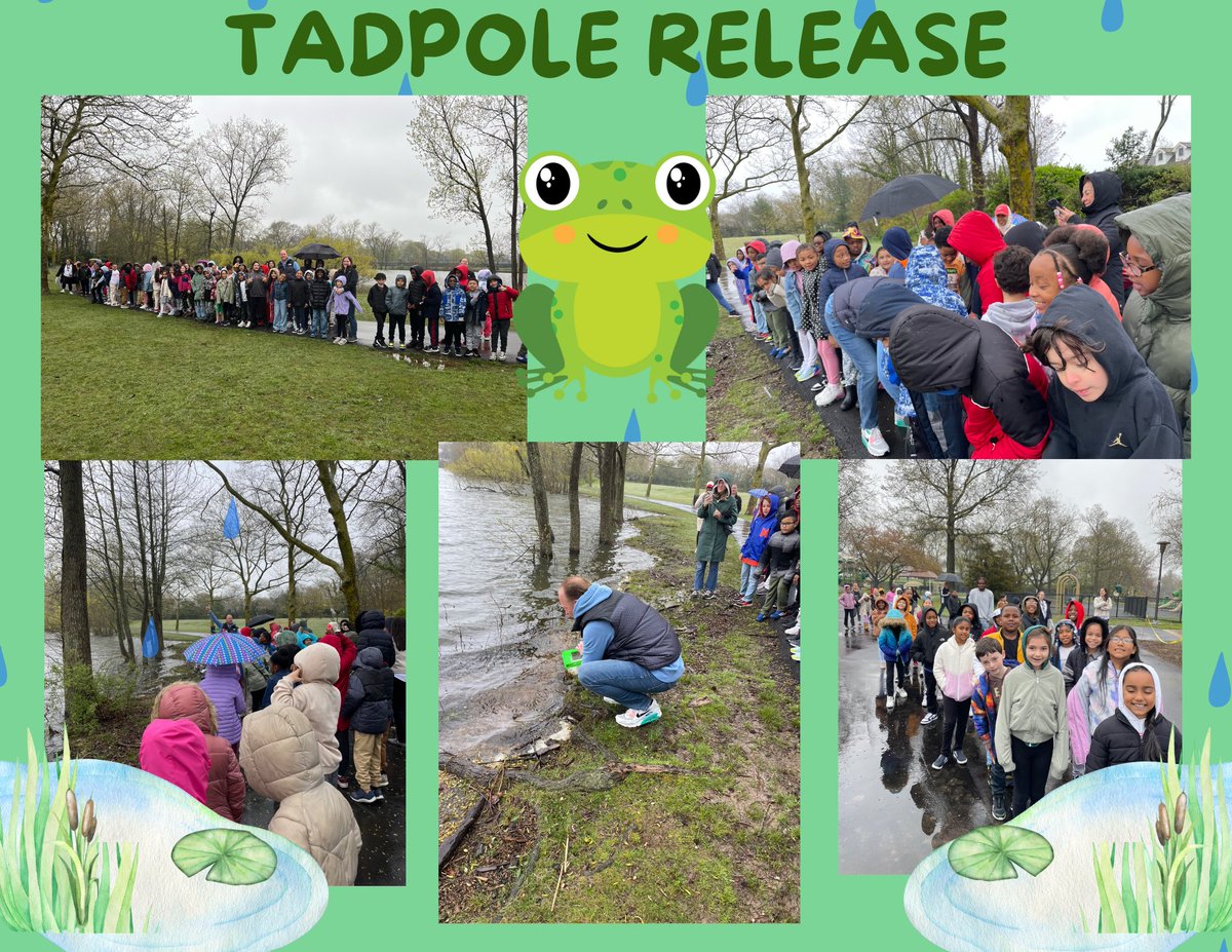 A little rain can’t stop us! The 3rd graders took a trip to Grant Park to release their tadpoles. We have loved having these little guys in our room but it is time for them to be in their natural environment! Thank you to all the parents who came along! #excellenceonpurpose