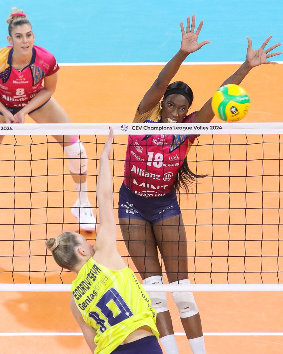 European Volleyball tweet media