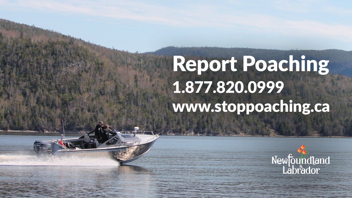 Help our Resource Enforcement officers protect NL's natural resources by reporting suspected illegal activity online at stoppoaching.ca or calling 1-877-820-0999. #GovNL #stoppoaching