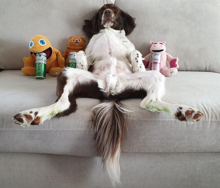 Mum says have got   funny postures taking my nap is that true !!