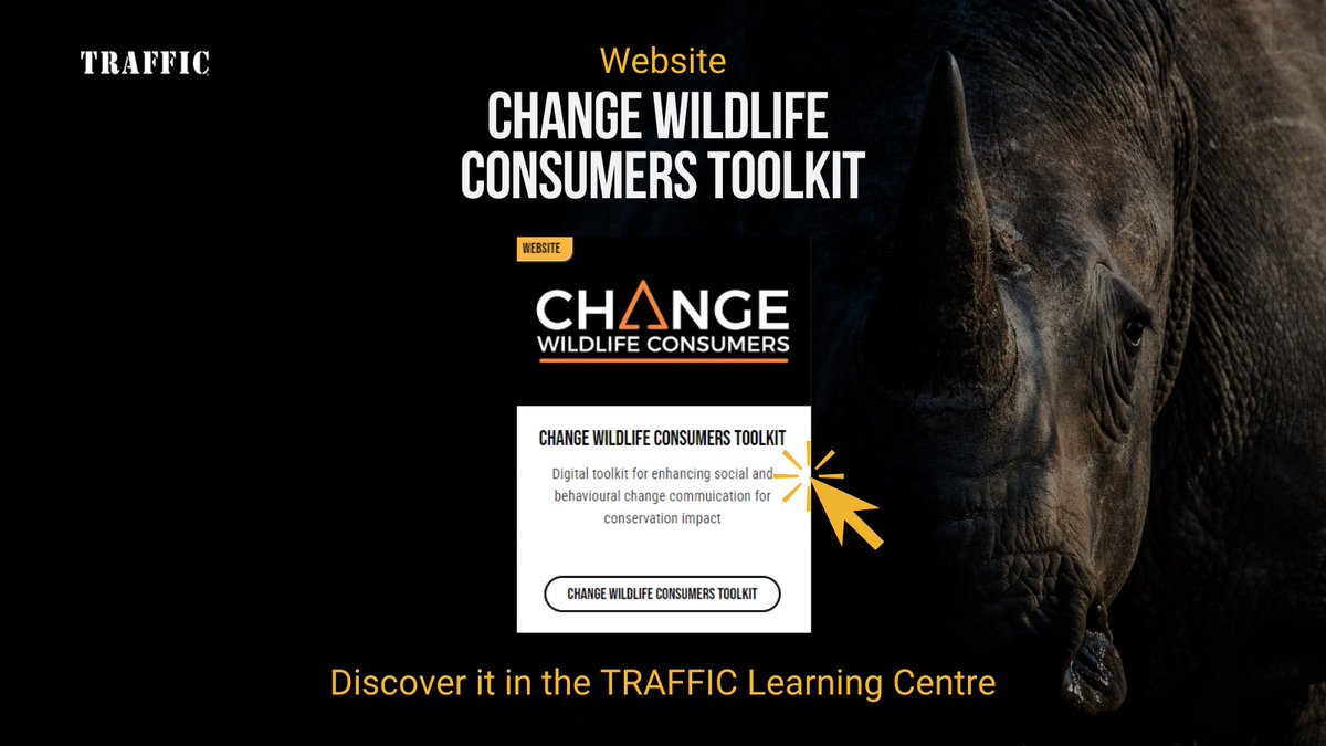 How can you help reduce demand for tiger products, rhino horn, elephant ivory, and more?

Explore our Change Wildlife Consumers platform, packed with resources to craft impactful messaging rooted in #behaviourchange theory 📝

Start learning today 👉 loom.ly/9inNb7U