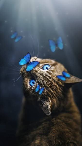 late to the party but HAPPY BELATED BIRTHDAY OUR BUTTERFLY QUEEN 🦋
이 세상에 태어나줘서 고마워용!

soar high, jung wheein! 👐

30TH FLIGHTS WITH WHEEIN
#ThirtySexy_WheeinDay
#확실한_확신의행복_햅휘데이

ʚϊɞ #WHEEIN #휘인 #MAMAMOO