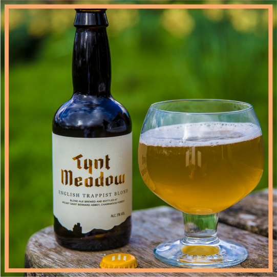 TheKilpin's tweet photo. Well hello - this is nice!
 #tyntmeadow #blondbeer #trappistbrew https://t.co/EiglLGOc8c
