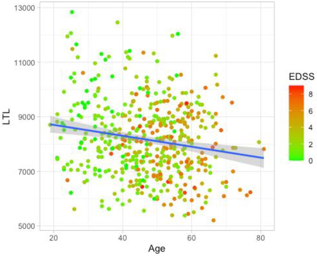 Correlation between reduced telomere length & disability severity in #MultipleSclerosis, suggesting link between biological aging, neurological reserve & immune dysfunction. doi.org/10.1016/j.msar… @mzhong23 @vjokubaitis @STMneurosci