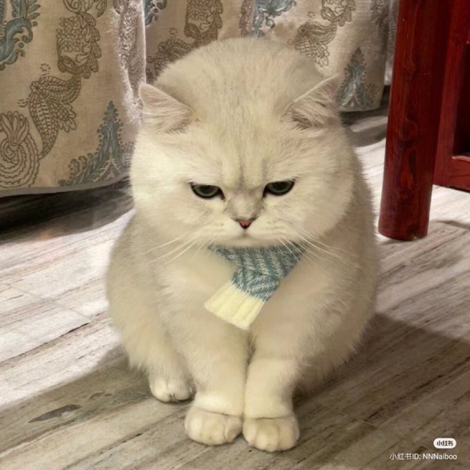 อ้วนก่รักคับ                                     แล้วอ้วนเหรอ