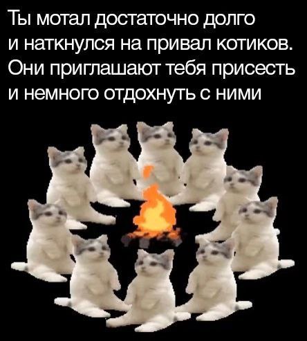 catsilcats's tweet photo. https://t.co/J5P2Ob1POv