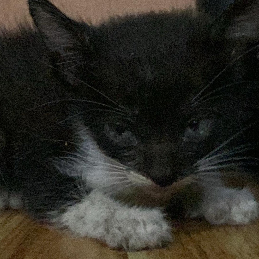 httpskisha's tweet image. today! 🍓