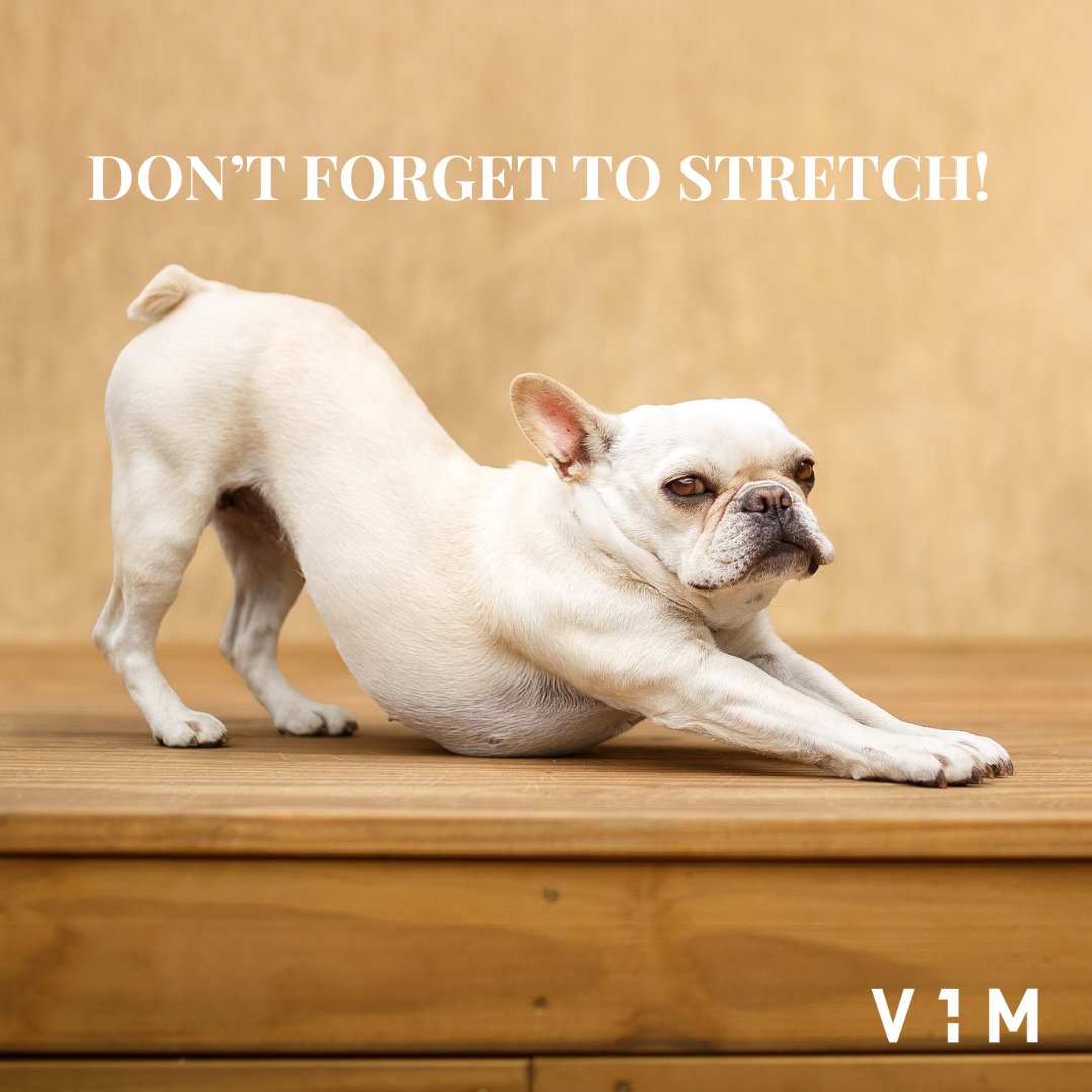 When you're about to conquer the day but your muscles say, 'Hold up, don't forget to stretch!' 🏋️

#V1M #V1MLife #Health #Wellness #StretchingRoutine #FlexibilityTraining #MorningMotivation
