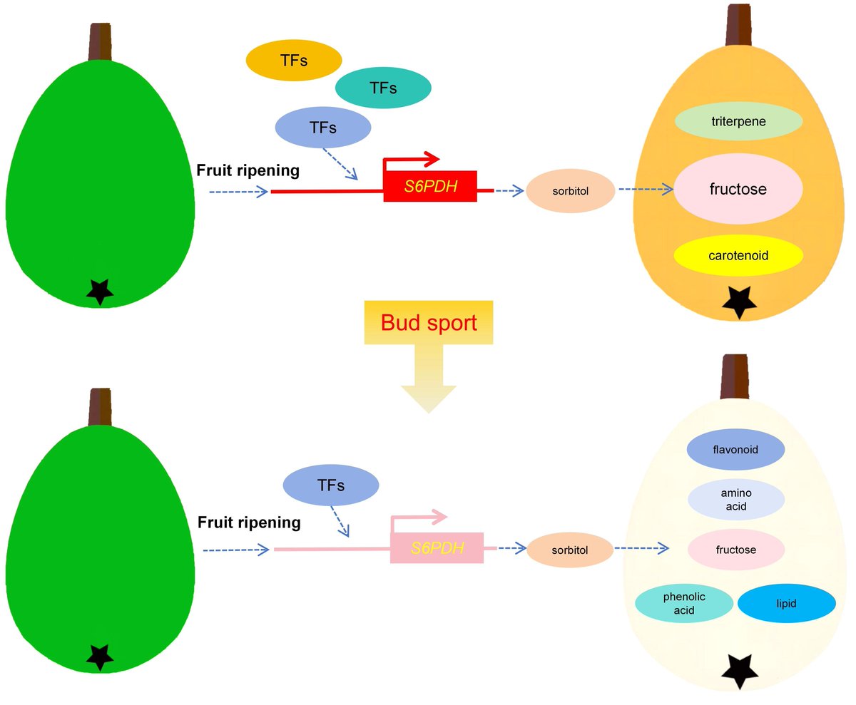 sci_plant tweet picture