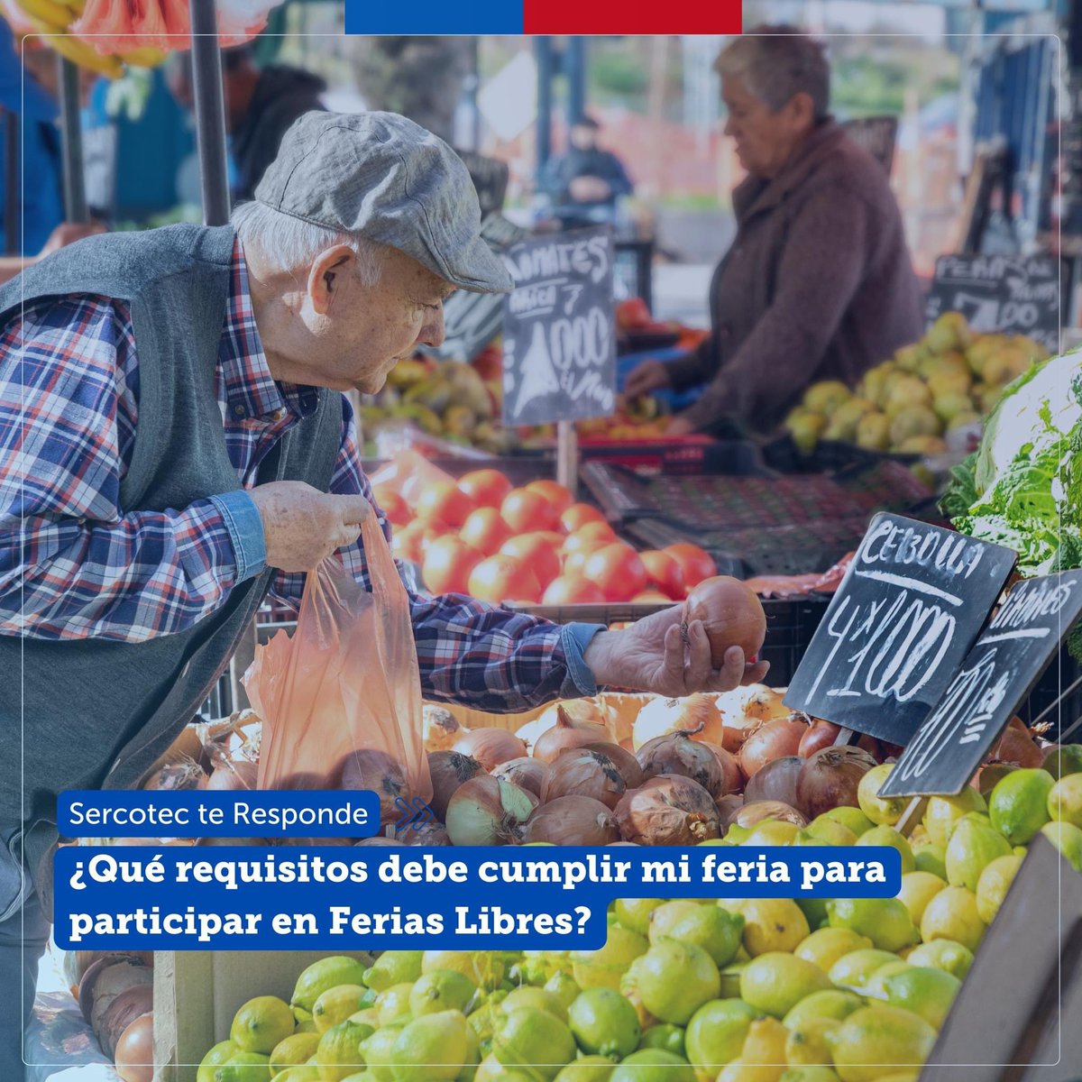 Sercotec O'Higgins tweet media