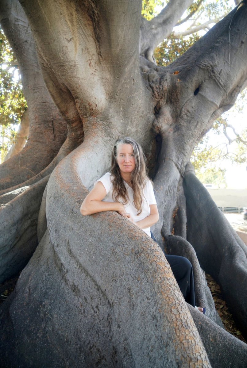 What if trees could tell their stories? Artist, activist, and writer @katieholten discusses her anthology The Language of Trees—a collection that explores our connection with nature in English and “a forested translation in an invented type called Trees.” tinyurl.com/bdhs8u3s