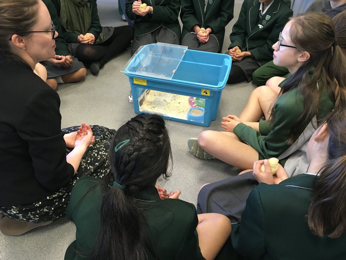 SHS Science tweet media