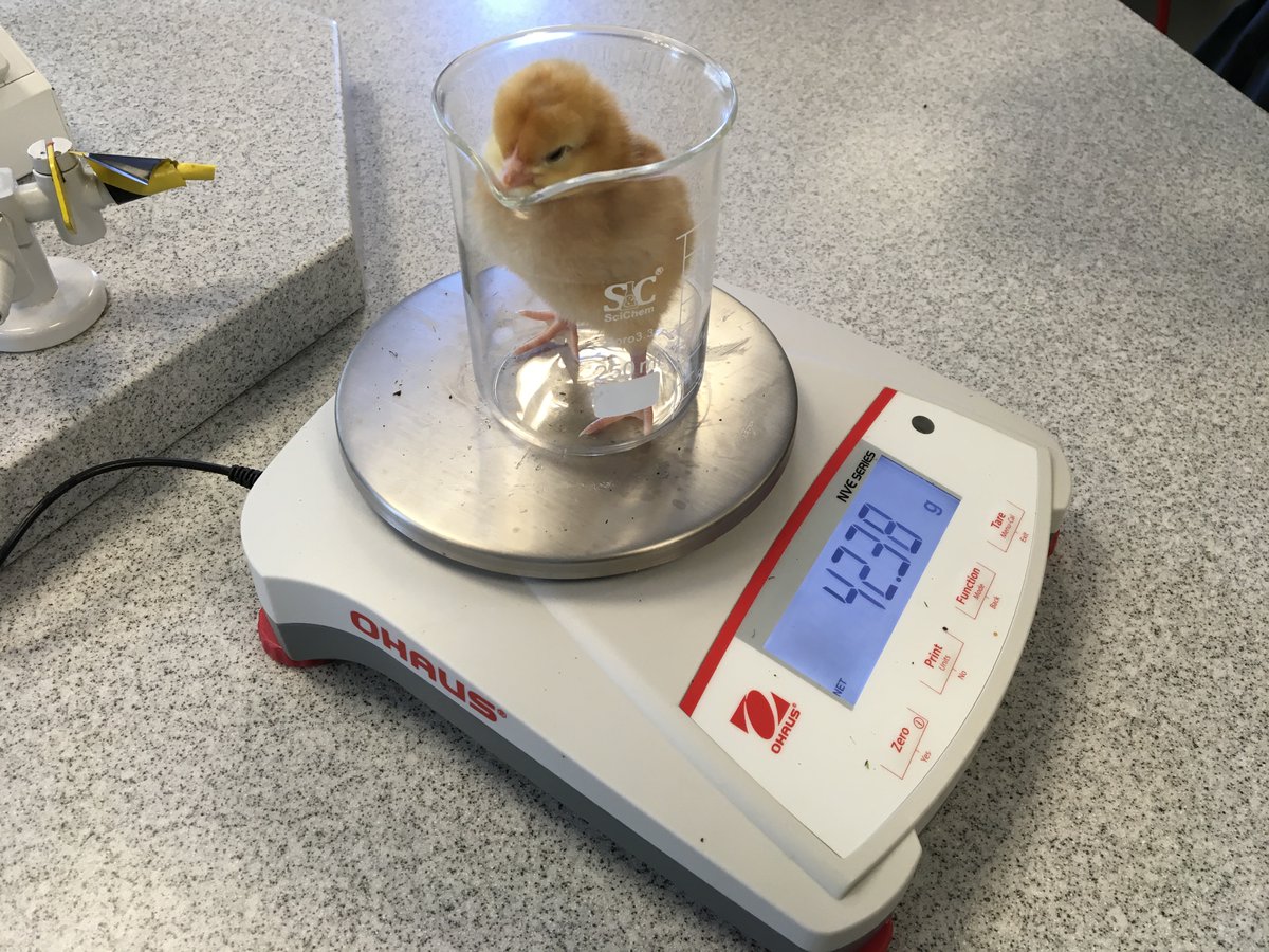 SHS Science tweet media