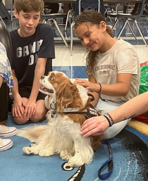 McQElemLibrary's tweet photo. Cooper, the therapy dog, visited Mrs. Dziuk's 5th grade library class in honor of their winning our Beanstack 🫘  March Madness Reading Challenge! 👏 🎉 🙌 Sweet Cooper had so much 🩷  to share! 🥰 🐶 🐕‍🦺 Way to go 5th graders! #SeguinReads #WeAreSeguin @SeguinISD @McQueeneyESISD https://t.co/UiQdpJEkU2