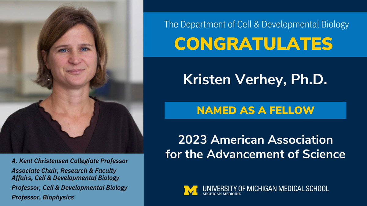 Congratulations to Kristen Verhey! Kristen has been inducted as a 2023 AAAS Fellow for her distinguished contributions to the fields of cell biology and biophysics in understanding microtubules and motors, and development of the tubulin code. #accolades #cellbiology #biophysics