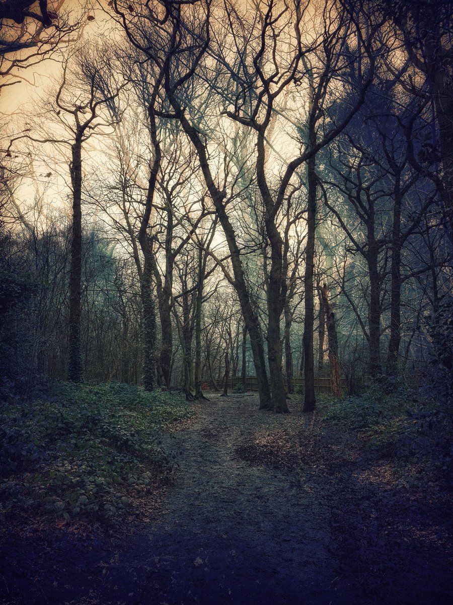 Two For One (series)#woodland #footpath #Autumn #foliage #tenfiftythreeimages #seasons #footpath #trees #plw1053 #boatsthattweet #twoforone #Abstract #photooftheday #photographers #PhotographyIsArt #twoforone #footpath #seasons #photography @The_RPSLondon #Autumn @creative_rps