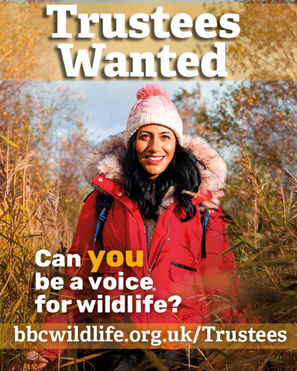 Are you passionate about nature and wildlife? Can you inspire others to improve their environment and communities? Have you considered becoming a Trustee? We're looking to recruit up to four Trustees, including at least one Young Trustee. Find out more: bbcwildlife.org.uk/Trustees