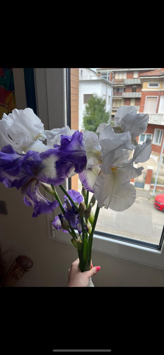 L’amore mio nonno che porta a mia mamma i suoi fiori preferiti🥹🫠