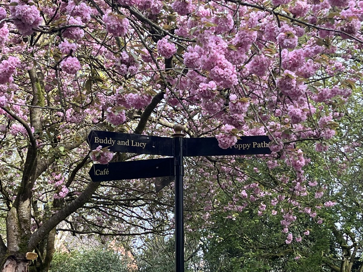 Lots to do and see #Didsbury #Didsburypark #Manchesterblooming