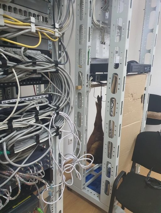 elhackernet's tweet photo. https://t.co/yubkBMJaDN