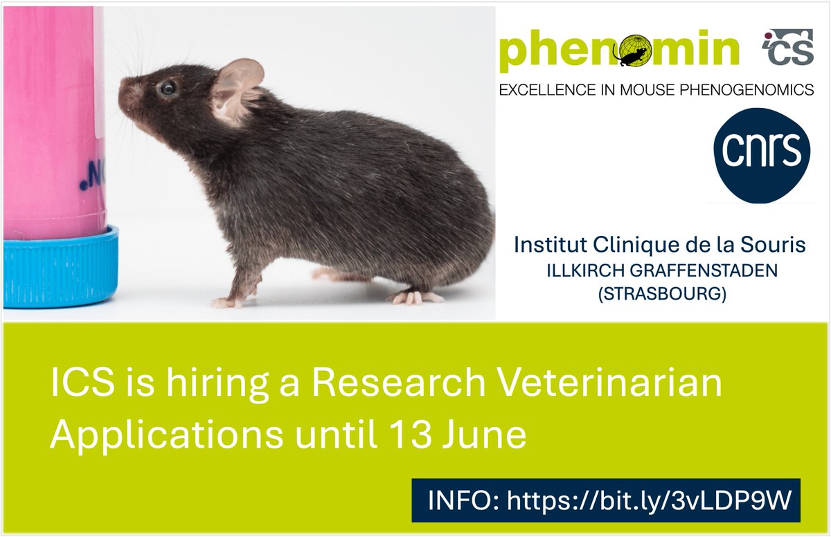🔍Research Veterinarian wanted🔍

The Institut Clinique de la Souris (Strasbourg) is recruiting a veterinarian for a 1-year contract 🔬🐁. ⚠️extendable!
Details and requirements at emploi.cnrs.fr/Offres/CDD/UMR… 

@EmploiCNRS #biomedicalresearch #veterinarian #joboffer #animalwelfare