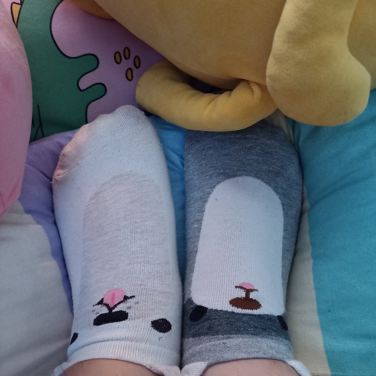 flyingchikkin tweet media