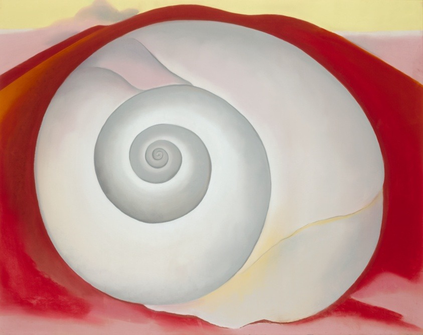 «...until I can sing, I will paint.» Georgia O’Keeffe 🖌 White Shell with Red, 1938 #ArtLovers #DonneInArte #VentagliDiParole @VentagliP @DavLucia @Vale22046 @672Cilia @Dreaming_81 @alecoscino @artmajcar @_die_Uta_ @dianadep1 @marmelyr @LRonLacy @antojackie @Rebeka80721106