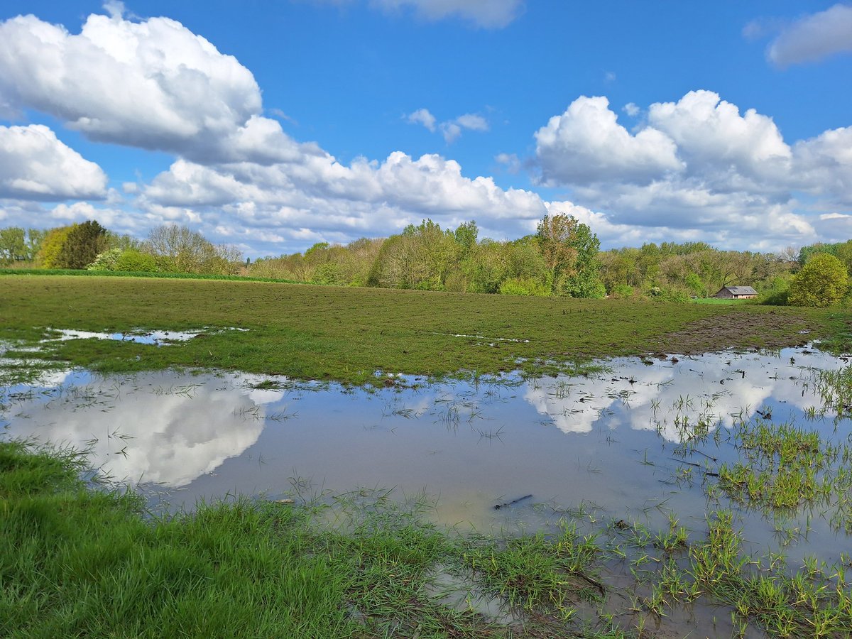 #vrtweer Roosdaal 11u34