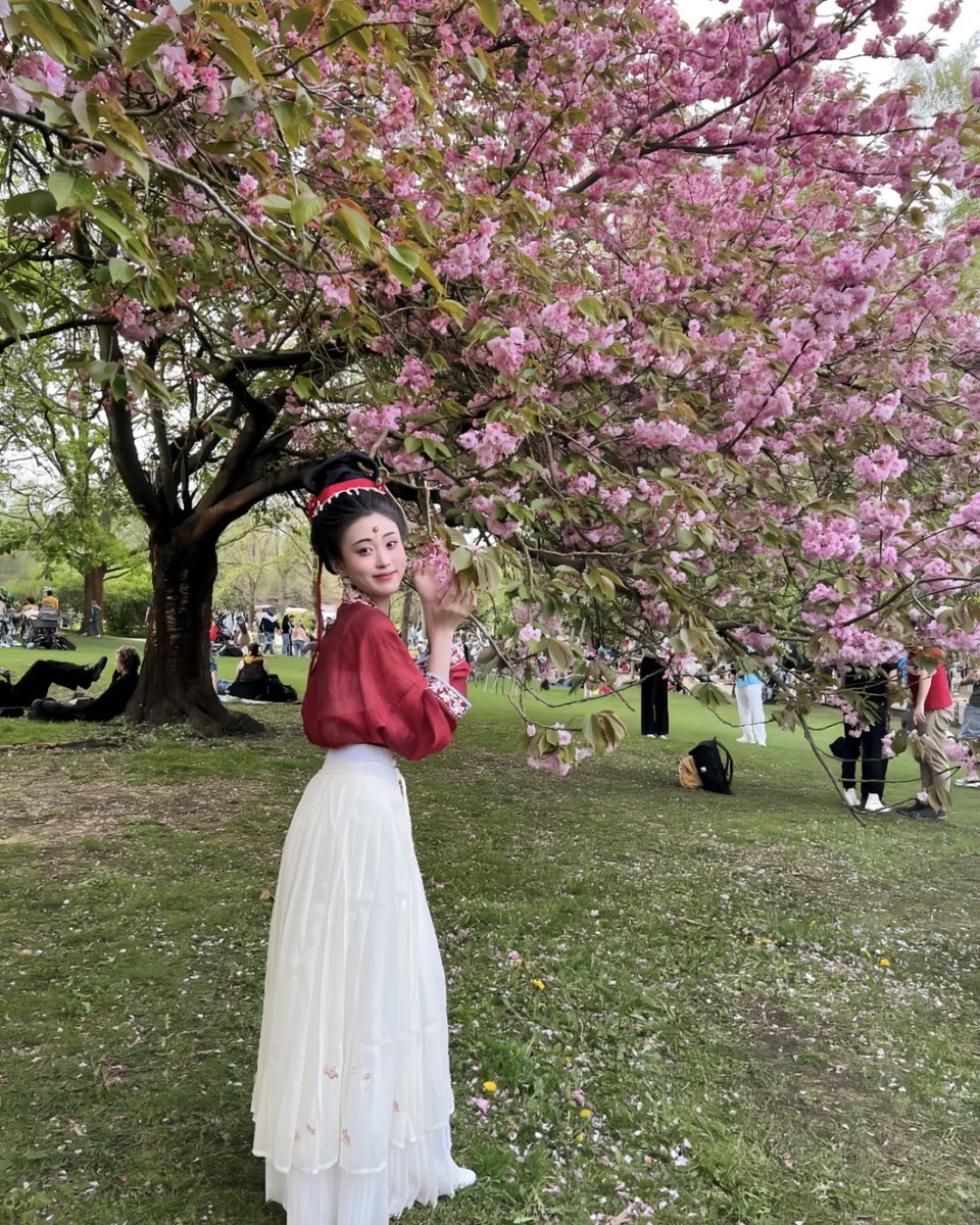 From April 13 to 14, an annual flower festival was held in eastern #Berlin. A blogger was invited to perform at the grand Berlin Cherry Blossom Festival. Wearing a Song Dynasty-style Chinese #Hanfu, she promoted Chinese culture and the beauty of #China on stage.（via:oneki）