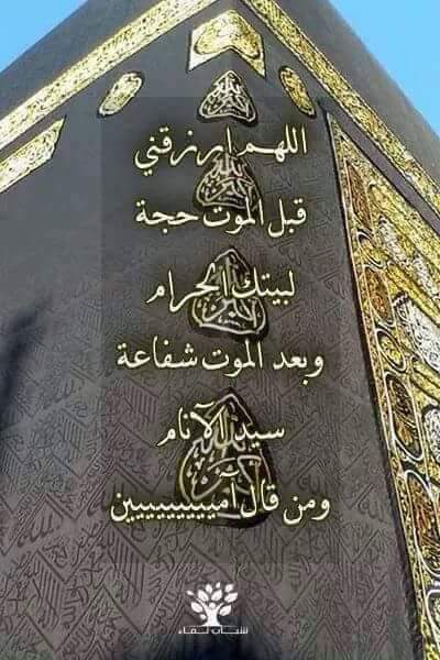 🌼مُـــــنَى 🌼 tweet media