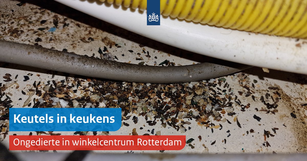 Tijdens een grote controle in een Rotterdams winkelcentrum bleek van alles mis met de hygiëne. Onze inspecteurs zagen vieze apparaten, vlees dat naast de koelkast lag en heel veel muizenkeutels. Meer info 👉 nvwa.nl/nieuws-en-medi… #Voedselveiligheid #NVWA