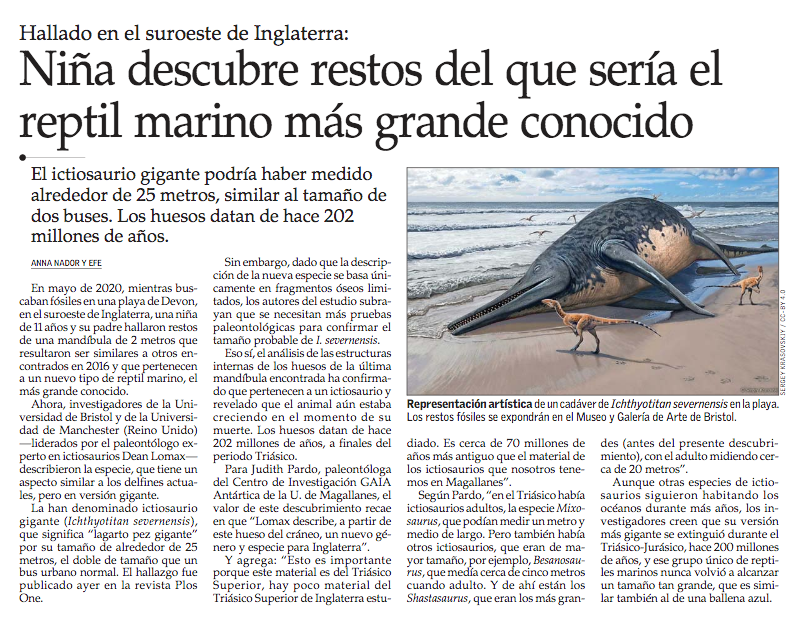 Niña descubre restos del que sería el reptil marino más grande conocido. #VCTElMercurio shorturl.at/abioZ