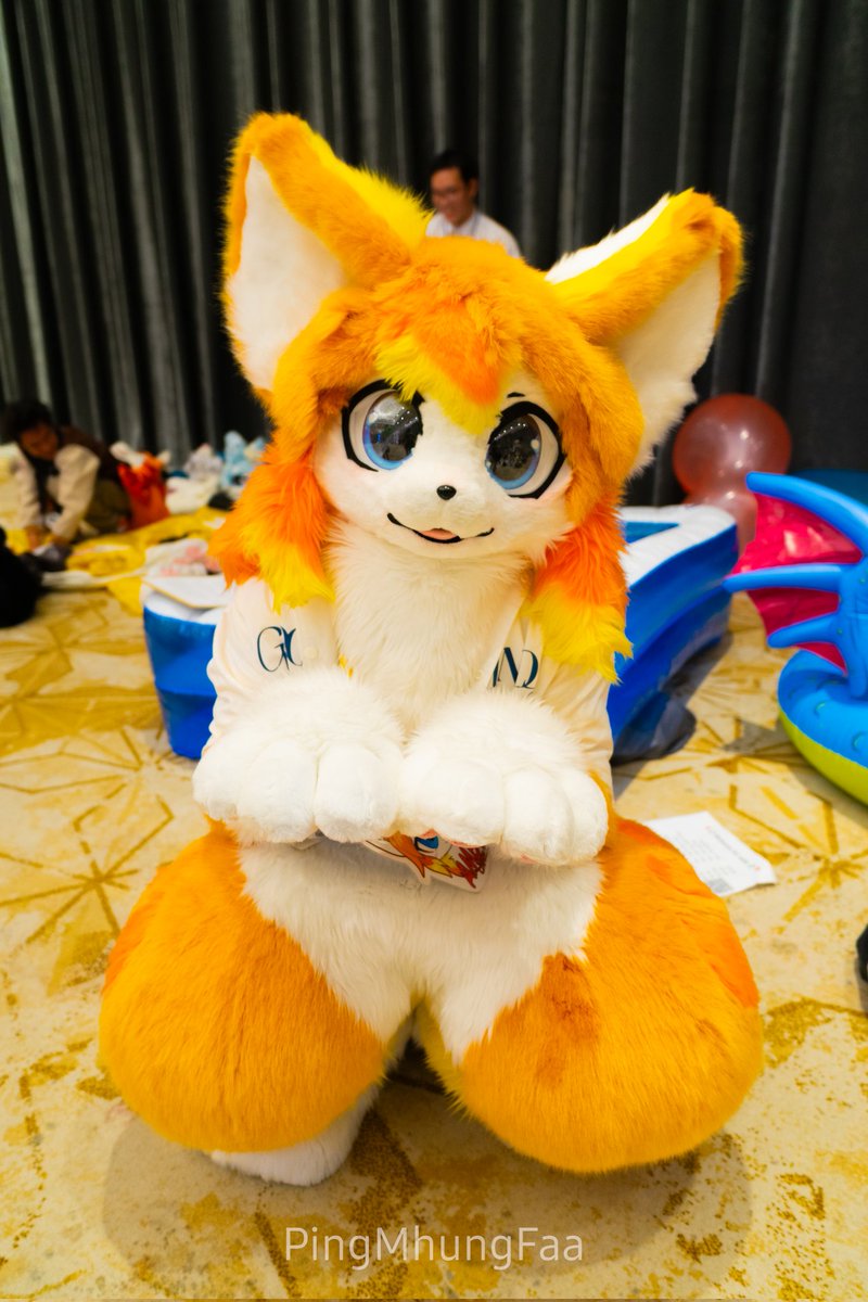 Amber fox 🦊🍊 @chivilt_k #Thaitails #Thaitails2024 #furry #fursuit