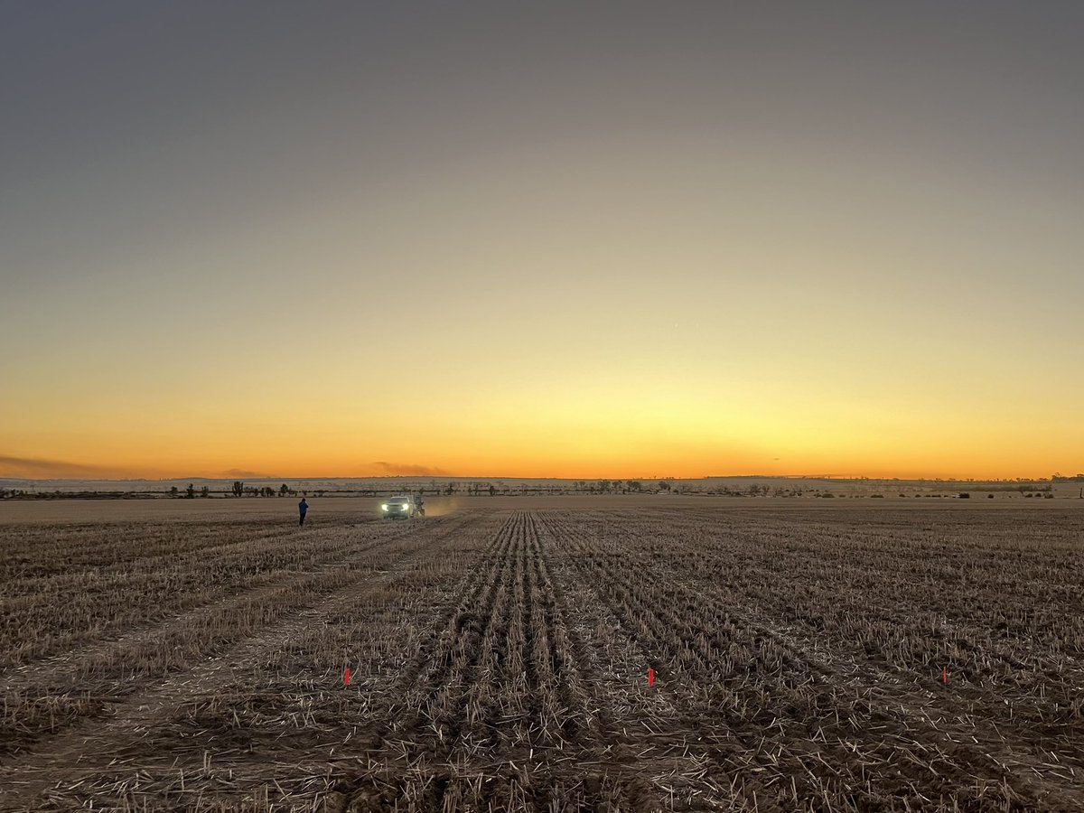 SLR - Field Research | Extension tweet media