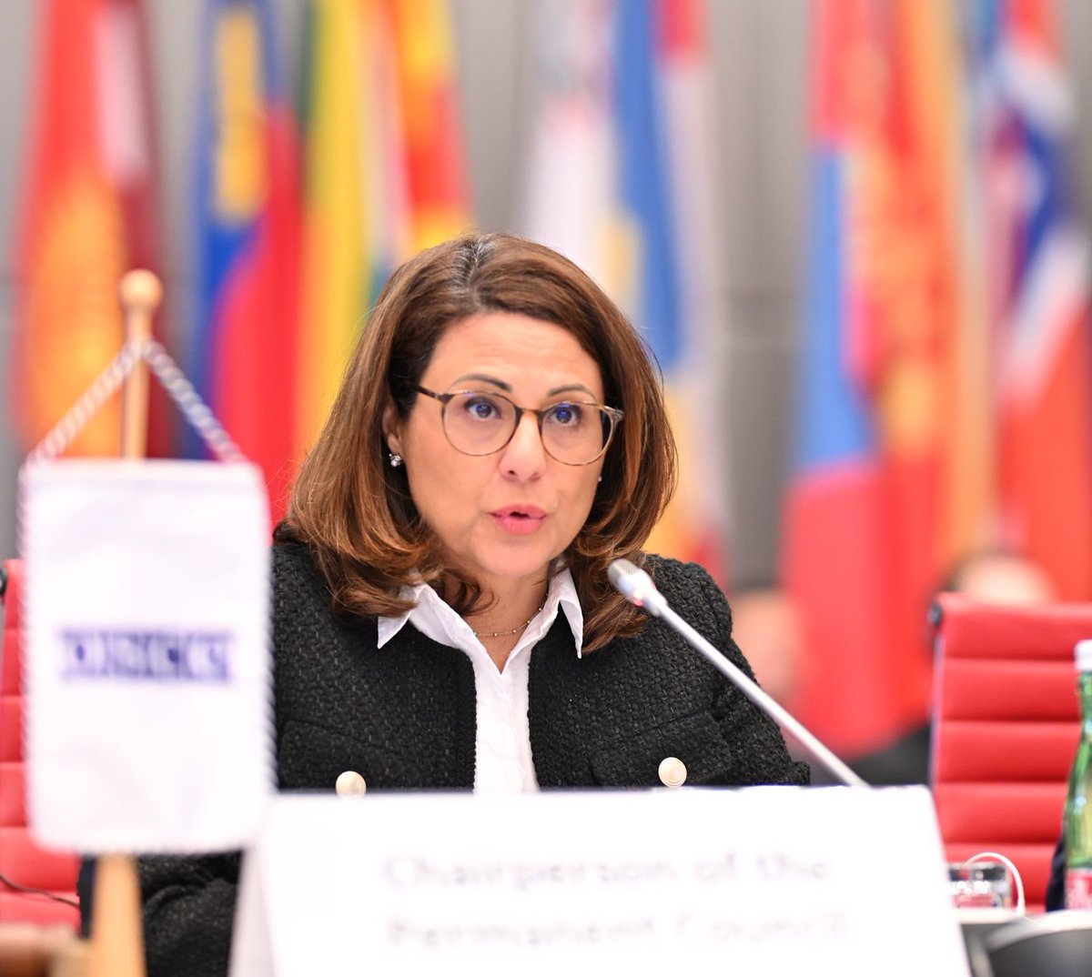 Throughout the year, @OSCE_Skopje supported the development & adoption of crucial reform laws, enhancing domestic strategies, & monitoring key developments. Efforts are aimed at building stronger institutions that serve & benefit the people we serve, ensuring progress and…