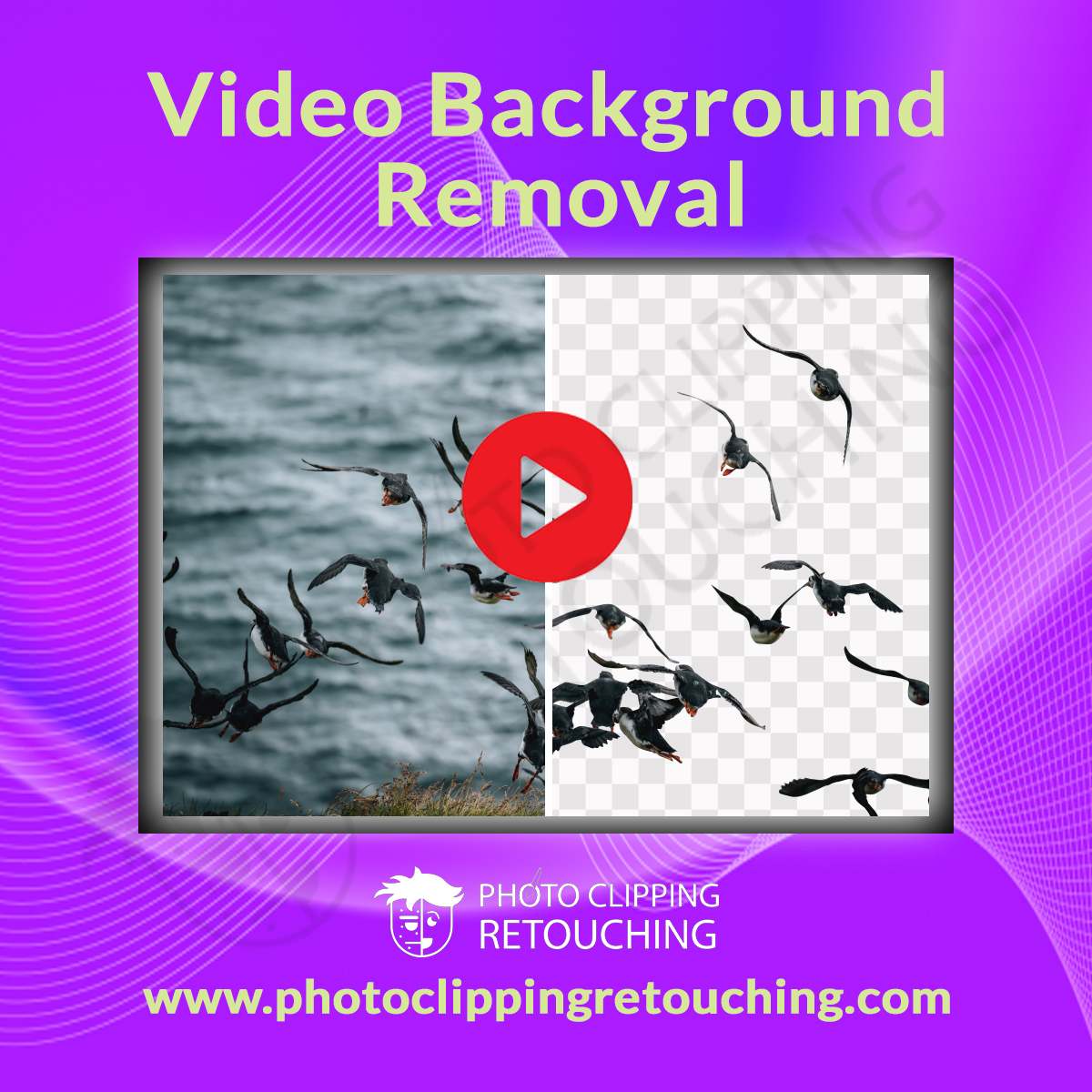 Dive into our Video Background Removal Service for flawless videos that speak volumes.
#BackgroundRemoval #CleanVideo #CreativeContent #FocusOnContent #VideoEditing #EditingServices #GraphicDesign #PCRgraphics

Email: info@photoclippingretouching.com
Link: photoclippingretouching.com/video-backgrou…